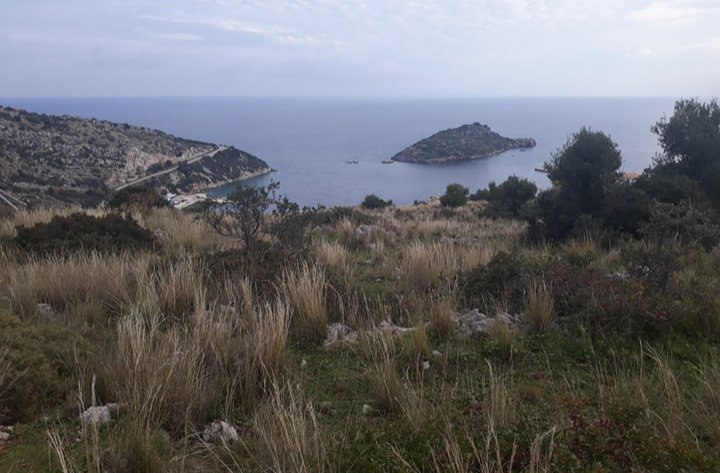 Land for sale on Zakynthos